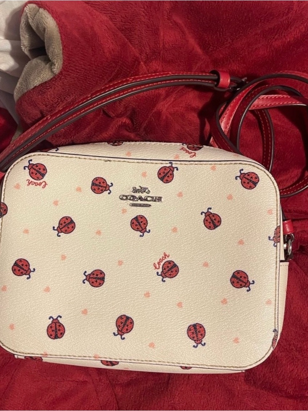 Coach Mini Camera Bag in Chalk Ladybug Print Leather
